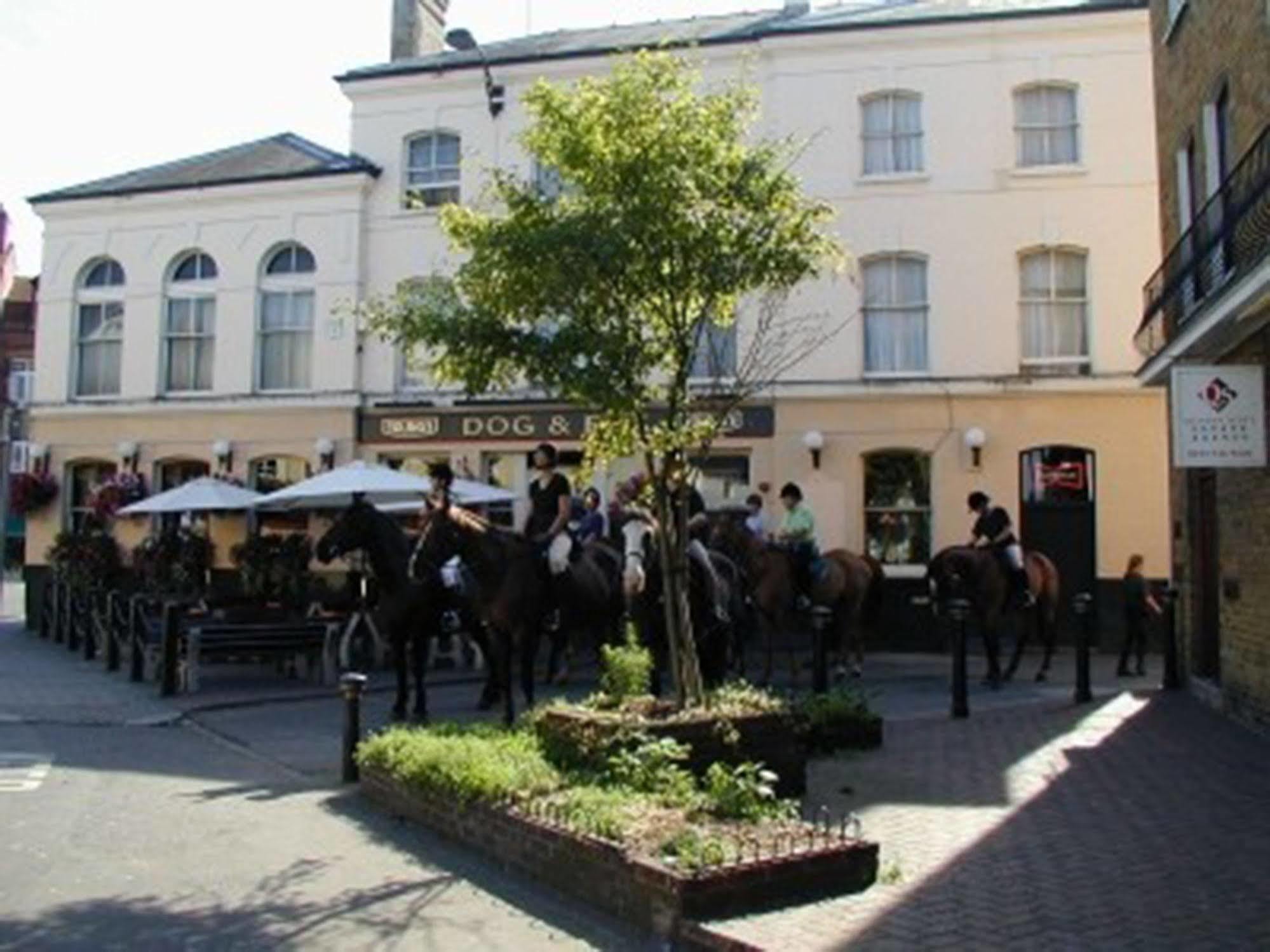 Lovely Garden Apartment In Wimbledon Town Centre With Private Parking By Wimbledon Holiday Lets London Exterior photo